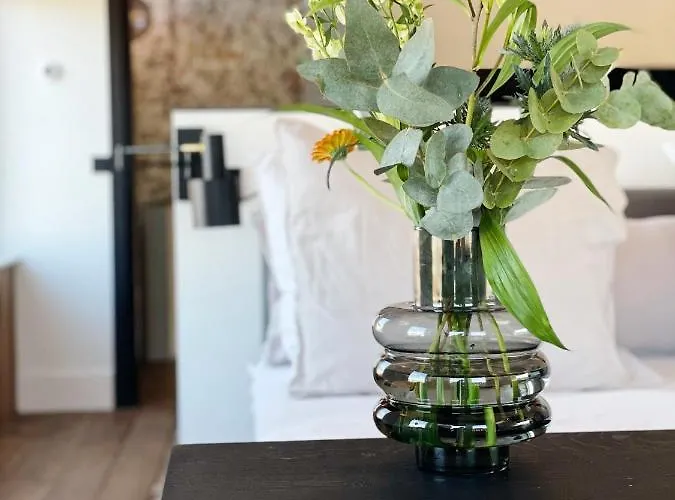 Hotel Boutique Hippe 4*